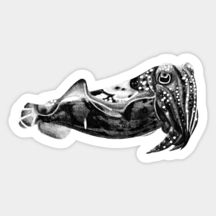 Cuttlefish Sticker